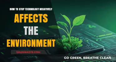 Sustainable Tech Solutions: Minimizing Environmental Impact in the Digital Age