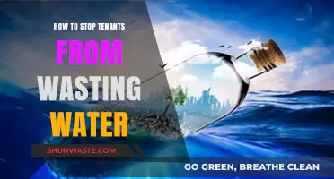 Prevent Water Waste: Effective Strategies for Responsible Tenant Water Usage