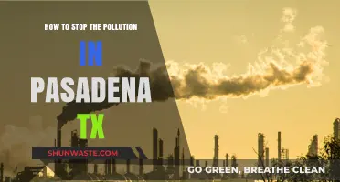 Pasadena's Pollution: Strategies for a Greener Future