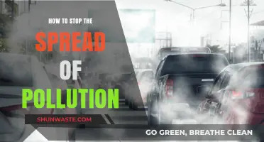 Preventing Pollution: Tips to Stop the Spread