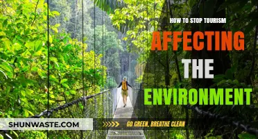 Sustainable Travel Tips: Protecting Nature While Exploring the World