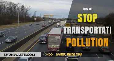 Transportation Pollution: Strategies for a Greener Future