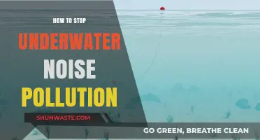 Protecting Ocean Life: Reducing Underwater Noise Pollution