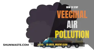Air Pollution: Strategies to Reduce Vehicular Emissions