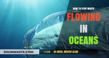 Preventing Ocean Pollution: Effective Strategies to Stop Waste Flow