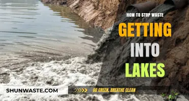 Preventing Lake Pollution: Effective Strategies to Keep Waste Out of Lakes