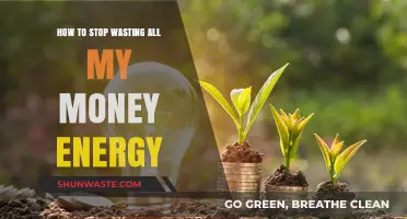 Master Your Finances: Stop Wasting Money and Reclaim Your Energy