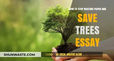 Save Trees, Save Earth: Practical Tips to Reduce Paper Waste
