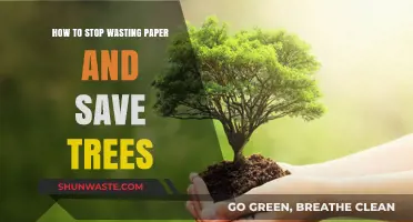 Eco-Friendly Tips: Reduce Paper Waste, Save Trees, and Go Green