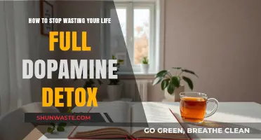 Reclaim Your Focus: A Dopamine Detox Guide to Stop Wasting Life