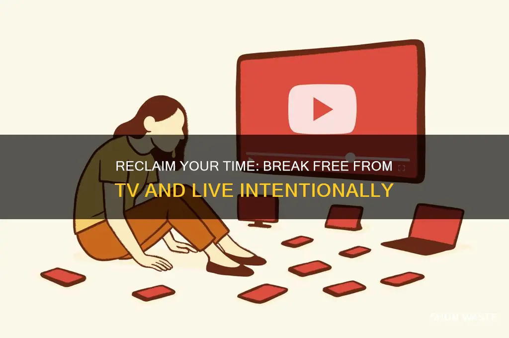 how to stop wasting your life watching tv