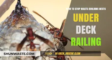 Prevent Wasps Nesting Under Deck Railings: Effective Solutions and Tips
