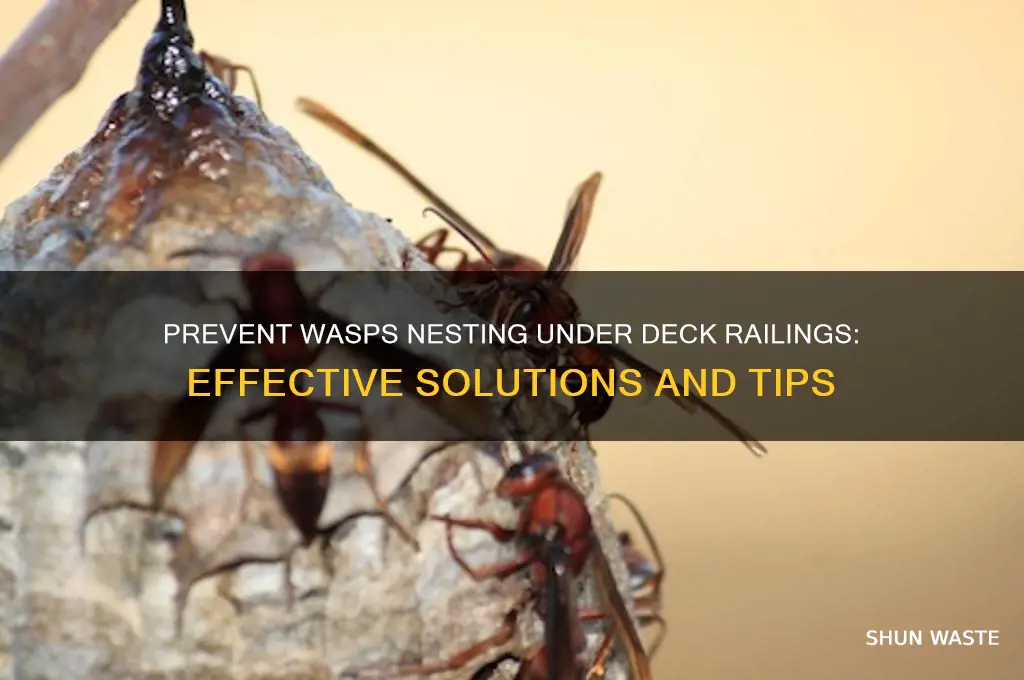 how to stop wasts building nests under deck railing