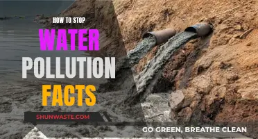 Prevent Water Pollution: Simple Steps for a Healthier Planet