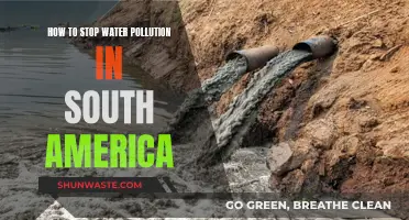 Clean Water, Brighter Future: Strategies to Combat South America's Water Pollution Crisis