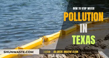 Texas Waterways: Strategies to Combat Pollution and Protect Our Future