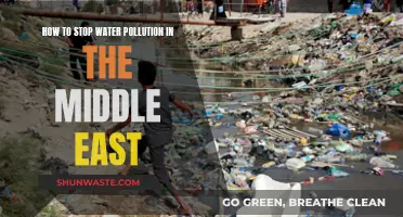 Sustainable Solutions: Stopping Water Pollution in the Middle East