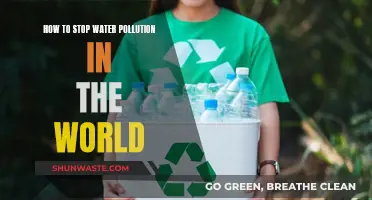 Global Action: Strategies to Combat Water Pollution and Protect Our Planet