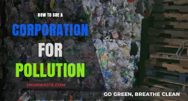 Suing Polluters: A Guide to Taking Legal Action
