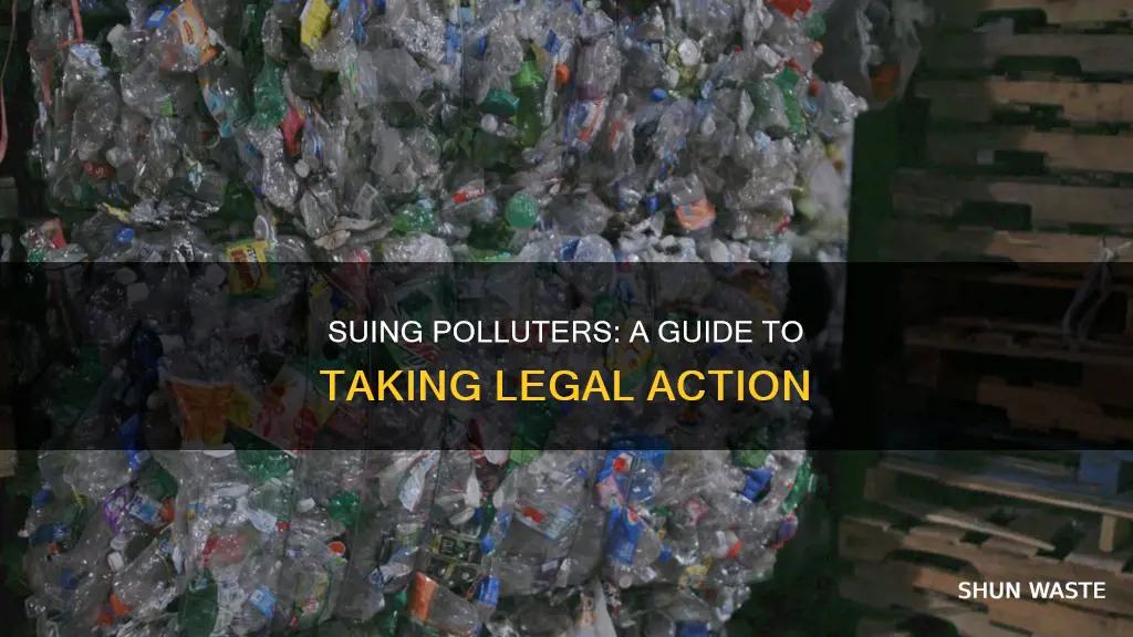 how to sue a corporation for pollution