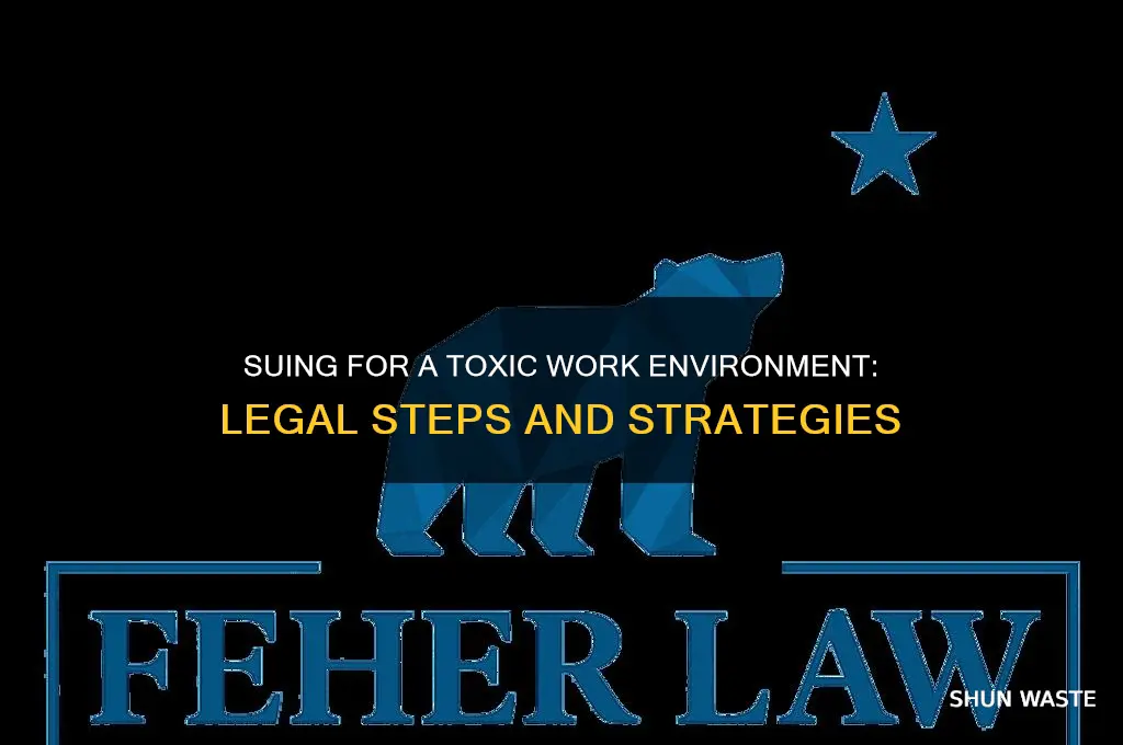 how to sue for toxic work environment