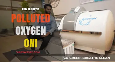 Purifying Polluted Oxygen: A Survival Guide