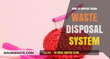 Optimizing Brain Health: A Guide to Supporting Your Body's Waste Disposal System