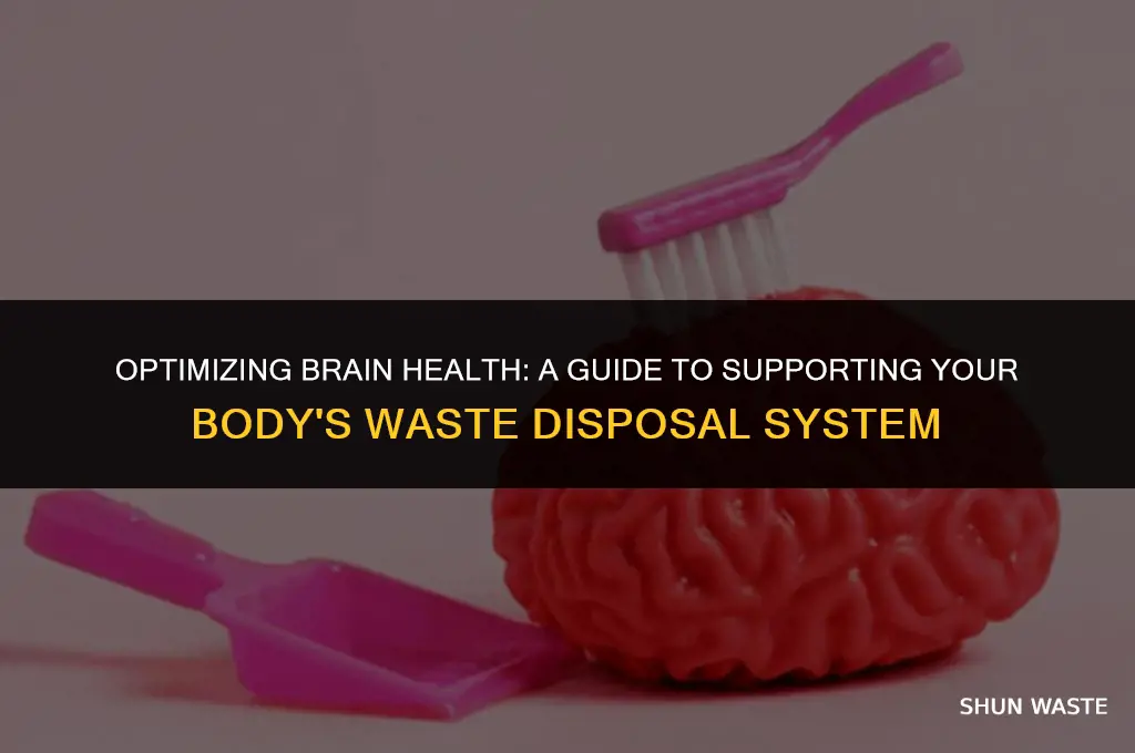 how to support brain waste disposal system