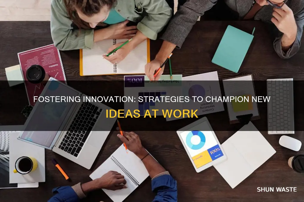 how to support new ideas in work environment