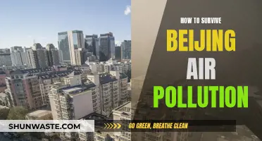 Surviving Beijing: Breathe Easy Tips for Polluted Days