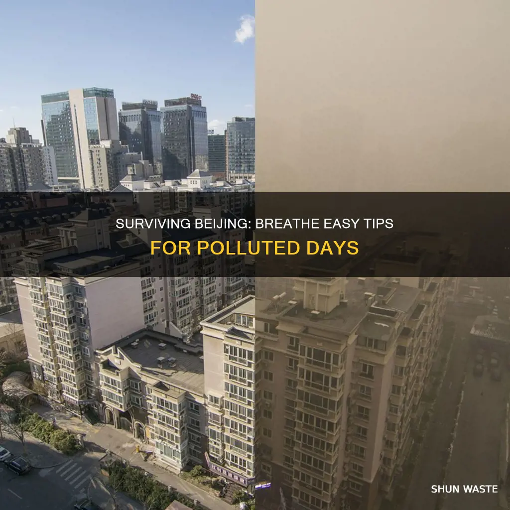 how to survive beijing air pollution