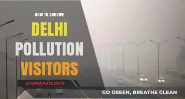 Breathing Easy: A Visitor's Guide to Delhi's Pollution