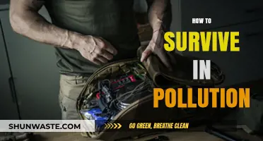 Breathing Easy: Survival Tips for Polluted Environments
