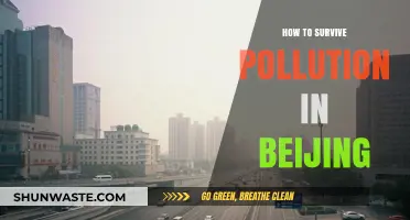 Surviving Beijing's Pollution: Tips for Expats
