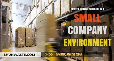 Thriving in Tight Spaces: Mastering Small Company Work Dynamics