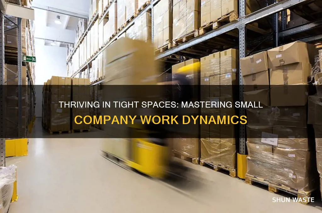 how to survive working in a small company environment
