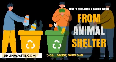 Eco-Friendly Waste Management Tips for Animal Shelters