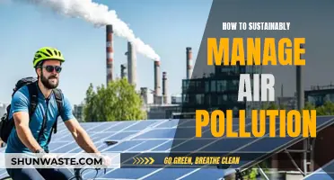 Managing Air Pollution: Sustainable Strategies for Cleaner Air