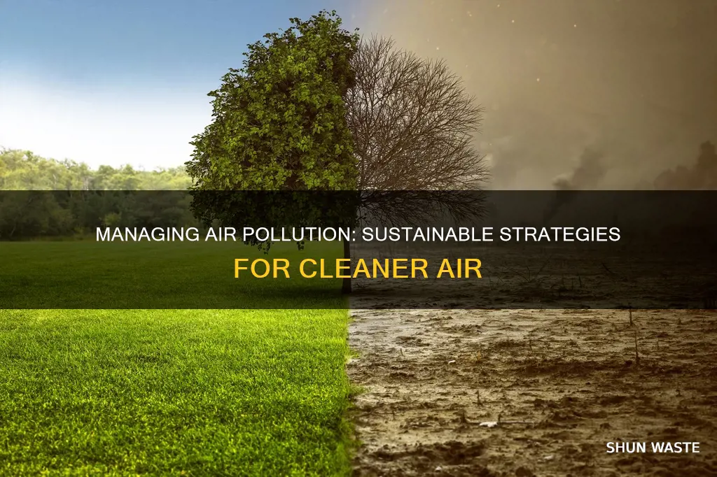 how to sustainably manage air pollution