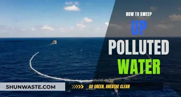 Clean Water Solutions: Effective Methods to Sweep Up Pollution