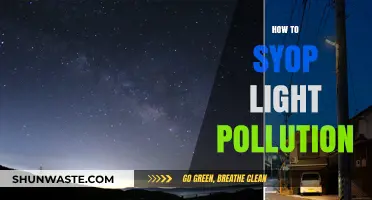 Light Pollution: Solutions for a Brighter Future