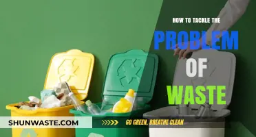 Effective Strategies to Tackle Waste and Promote Sustainable Living