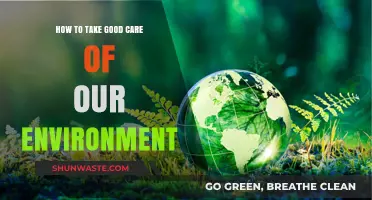 Sustainable Living: Simple Steps to Protect and Preserve Our Environment
