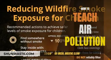 Teaching Air Pollution: Strategies for Effective Learning