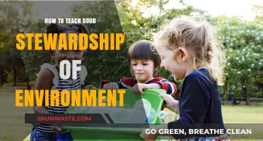 Nurturing Eco-Consciousness: Teaching Effective Environmental Stewardship Practices