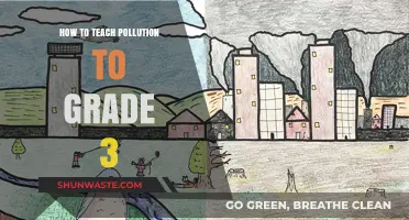 Pollution Basics: Teaching Grade 3 Students