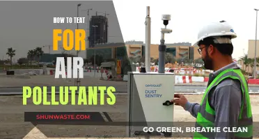 Air Purification: Treating Air Pollutants for a Healthier Environment