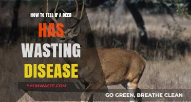 Identifying Chronic Wasting Disease in Deer: Symptoms and Early Detection Tips