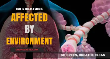 Environmental Influences: Identifying Genes Affected by External Factors