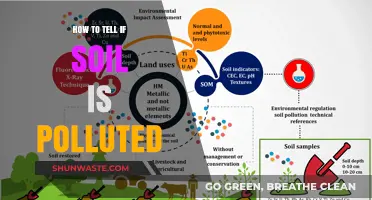 Soil Pollution: Identifying Contaminated Soil